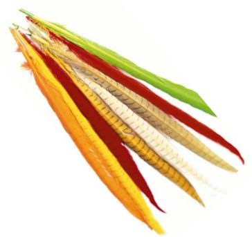 Veniard Cock Pheasant Colour Extracted T - Haler - 404503000026 - 1