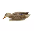 Avian-X Topflight Fusion Mallards 6pcs - Lokkende billeder / -diagram - 810280080766 - 3
