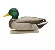 Avian-X Topflight Fusion Mallards 6pcs - Lokkende billeder / -diagram - 810280080766 - 8