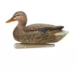 Avian-X Topflight Fusion Mallards 6pcs - Lokkende billeder / -diagram - 810280080766 - 7