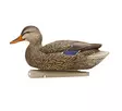 Avian-X Topflight Fusion Mallards 6pcs - Lokkende billeder / -diagram - 810280080766 - 5