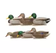 Avian-X Topflight Fusion Mallards 6pcs - Lokkende billeder / -diagram - 810280080766 - 1