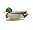 Avian-X Topflight Fusion Mallards 6pcs - Lokkende billeder / -diagram - 810280080766 - 6