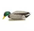 Avian-X Topflight Fusion Mallards 6pcs - Lokkende billeder / -diagram - 810280080766 - 4