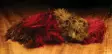 Hareline Wooly Bugger Marabou - Øvrige fjer - 40450300026 - 34