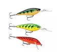 Rapala Essentials Trout Cloudy 2.0 - Agnsortimenter - 022677384146 - 2