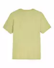 Simms Trout Outline T-Shirt Tent Green - T-shirts herre - 694264694466 - 2