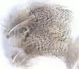 Veniard English Partridge Grey Neck Feat - Øvrige fjer - 40401030006 - 2