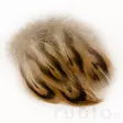 Hen Mallard Breast Feathers - Klassiske fjer - 5056304602544 - 2