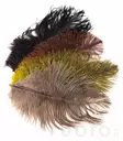 Ostrich Mini Plumes - Øvrige fjer - 40450300056 - 1