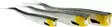Westin TwinTeez V-Tail 24cm - Vertikale jigs - 1734056 - 8