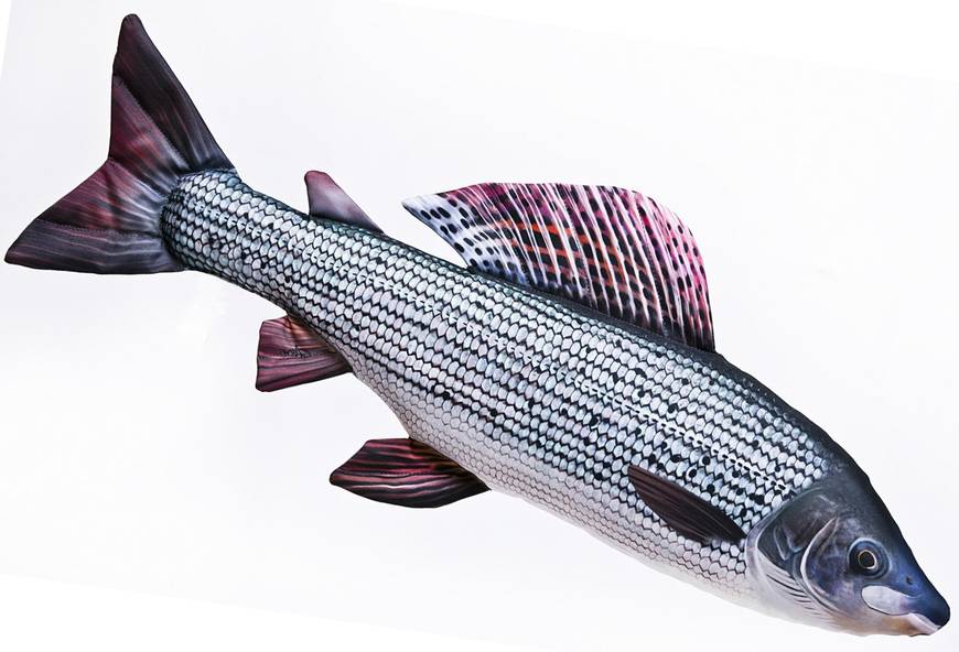 Gaby Grayling 65cm - Blød fisk - 5905279175426 - 1