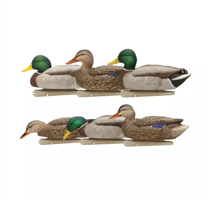 Avian-X Topflight Fusion Mallards 6pcs - Lokkende billeder / -diagram - 810280080766 - 1