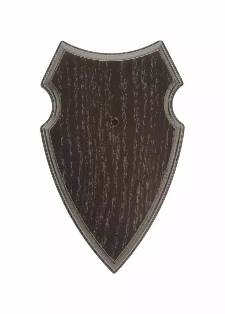 Eurohunt Trofeetausta Tumma 19x12cm - Diverse jagtprodukter - 4250392310096 - 1