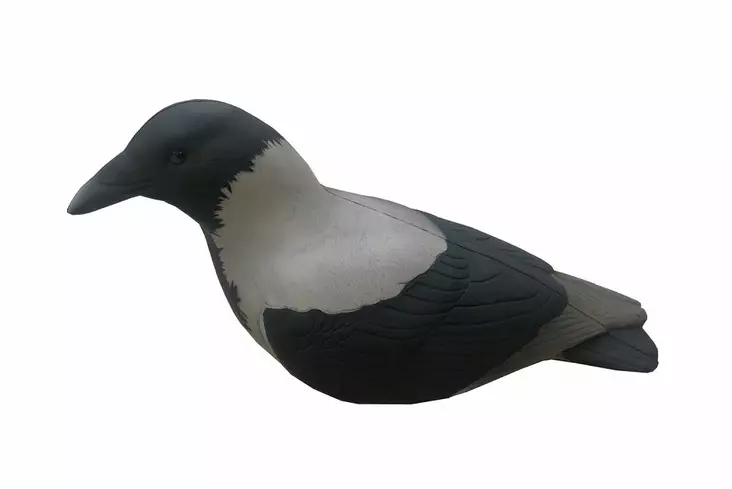 Final Approach Last Pass hooded Crow - Lokkende billeder / -diagram - 728614276696 - 1