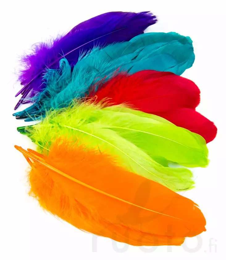 Goose Shoulder - Klassiske fjer - 4045030096 - 1