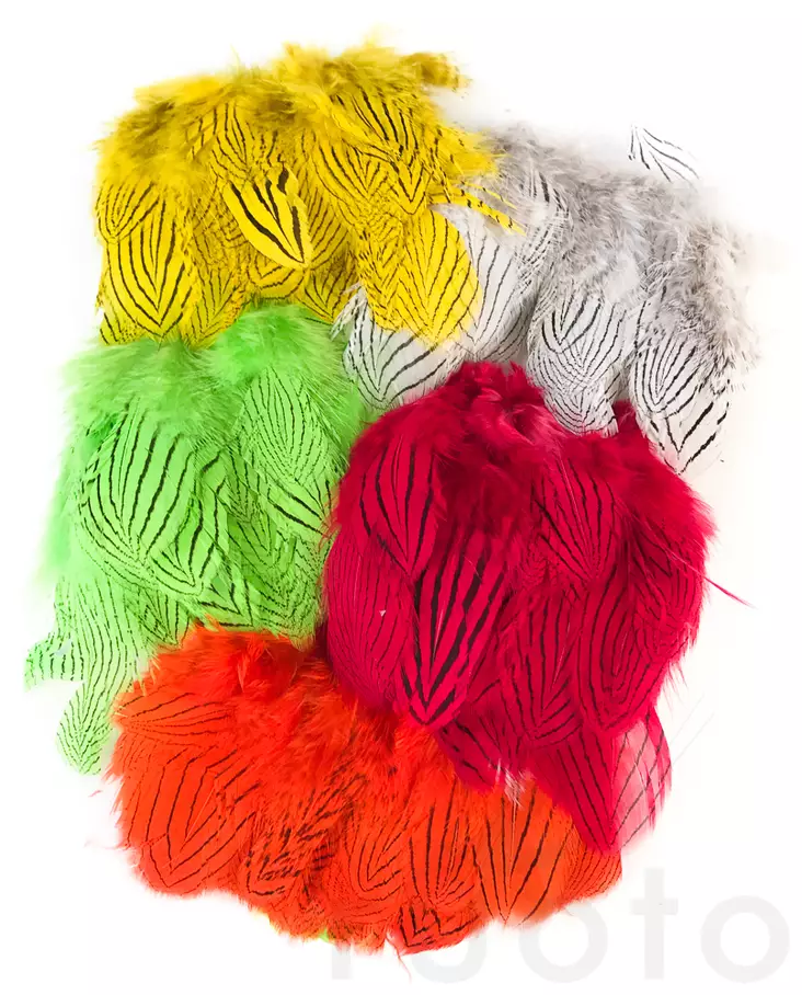 Silver Pheasant Body Feathers - Skind, vinger og hoved - 40400200516 - 2