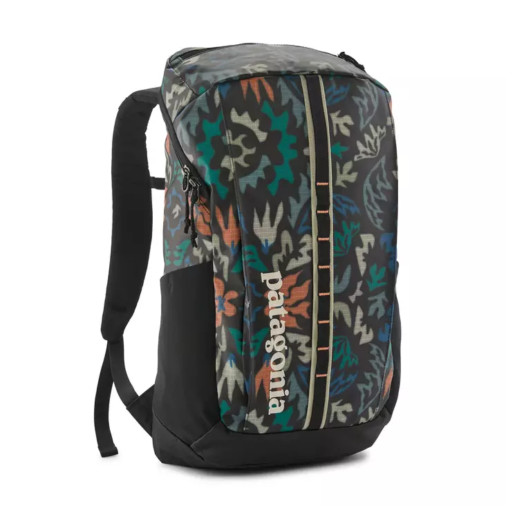 Patagonia Black Hole Pack 25L T ALL KALB - Rygsække - 198077532736 - 1