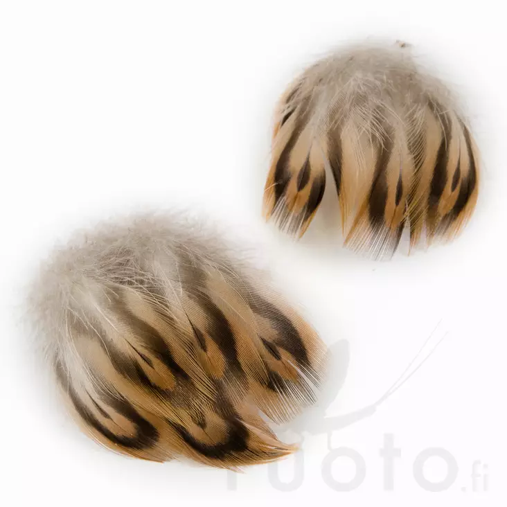 Hen Mallard Breast Feathers - Klassiske fjer - 5056304602544 - 1