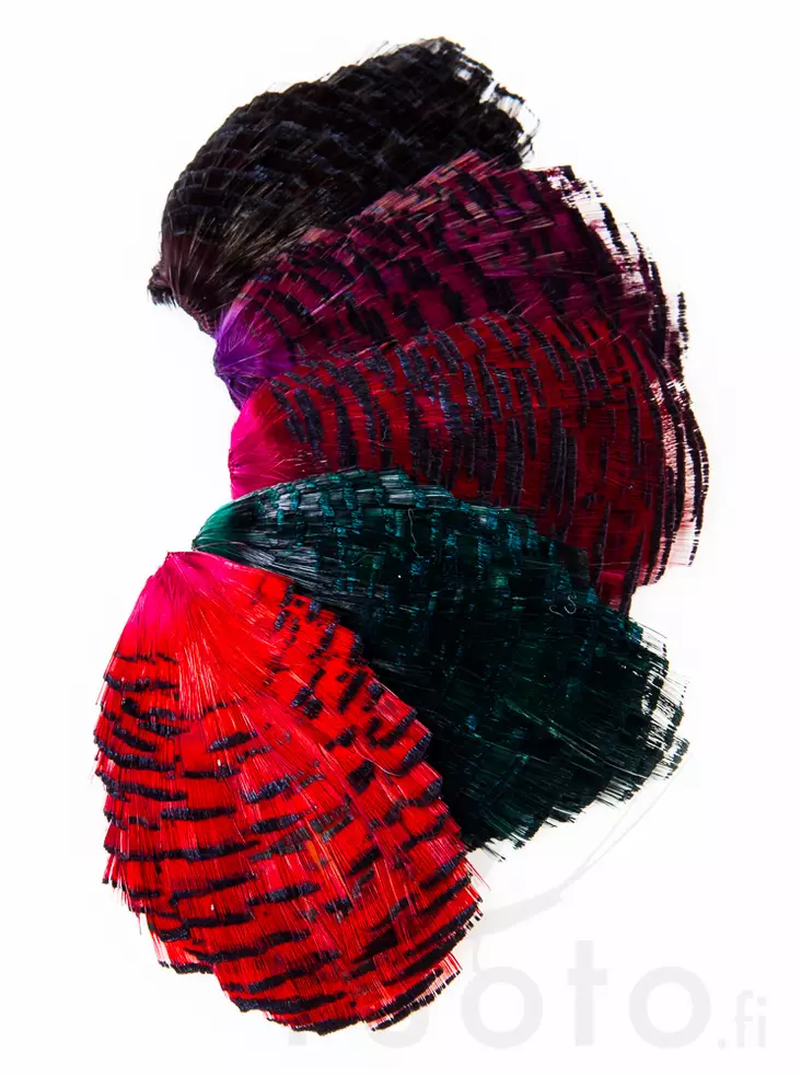 Wapsi Golden Pheasant Tippet - Klassiske fjer - 40450200066 - 1