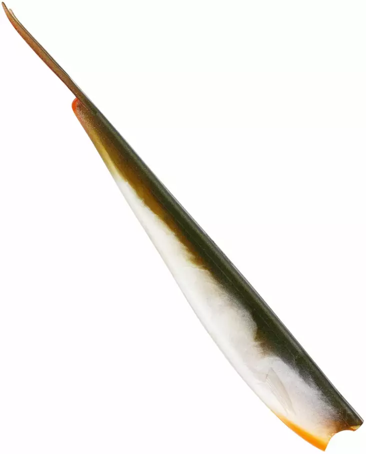 Westin TwinTeez V-Tail 24cm - Vertikale jigs - 1734056 - 1