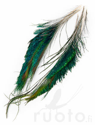FTS Strung Peacock Herl - Øvrige fjer - 5056304603862 - 3