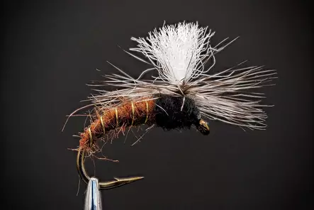 Klinkhamer Brown Salmon Dry Fly - Øvrige laksefluer - 8859202531087 - 1