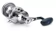 Daiwa 20 Saltiga LD 2 Speed - Hav- og trollinghjul - 043178592427 - 3