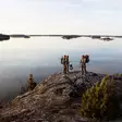 Fjällräven Värmland Cap Safety Orange L/XL - Huer - 7323450989897 - 5