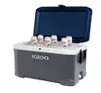 Igloo Maxcold 66l Cooler Dark Gray - Kølekasser og -tasker - 0034223506797 - 4