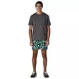 Patagonia Ms Baggies Shorts 5in M KALB - Bukser - 198077735717 - 5