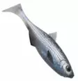Patriot Baitfish 6cm Clear Water Mix - Lappefiskjigs - 6417512539357 - 6