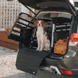 Thule Allax S - Øvrige hundeprodukter - 197074564177 - 5