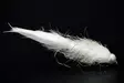 White Leech Tungsten Beadhead - Streamers og leech - 8859202532237 - 1