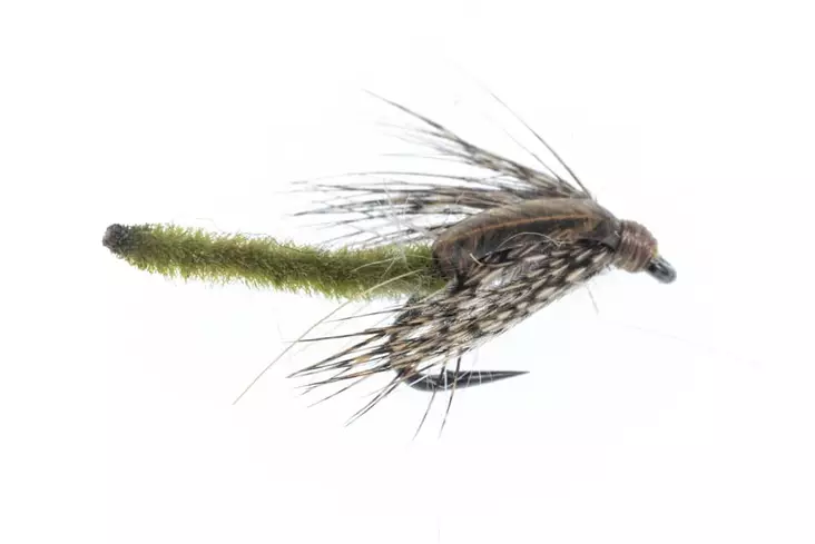 Chenille Pupa Olive - Vådfluer - 06429810537317 - 1