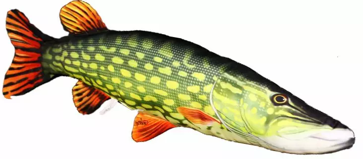 Gaby Hauki Pehmokala - Blød fisk - 5905279175037 - 1