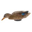 Avian-X Power Shaker Mallard Hen Surface Feeder - Lokkende billeder / -diagram - 888151047538 - 1
