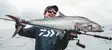 Daiwa 25 Saltiga 35 - Hav- og trollinghjul - 043178187258 - 3