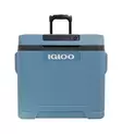 Igloo IE42R Thermoelectric Cooler 12V/230V 42l Blue - Kølekasser og -tasker - 7315091520218 - 2