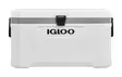 Igloo Marine Ultra 66l Cooler White - Kølekasser og -tasker - 0034223506728 - 1