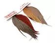 Whiting Introductory Hackle Pack Capes - Tørflue nakker og sadler - 6160440133738 - 1