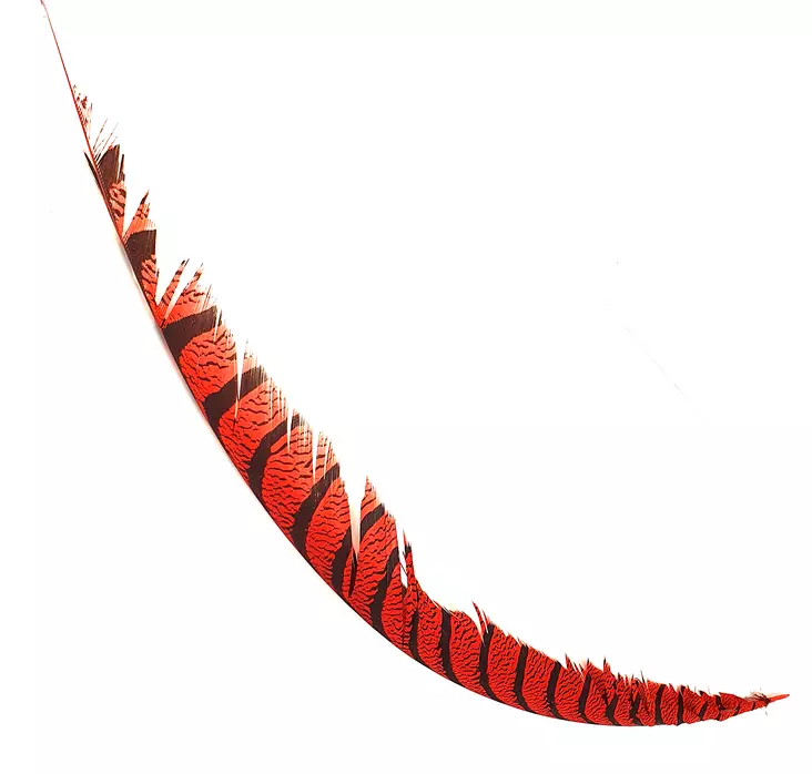 Hareline Lady Amherst Center Tail - Haler - 40400700518 - 1