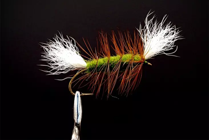 Pompero Olive Salmon Dry Fly - Øvrige laksefluer - 8859202530028 - 1