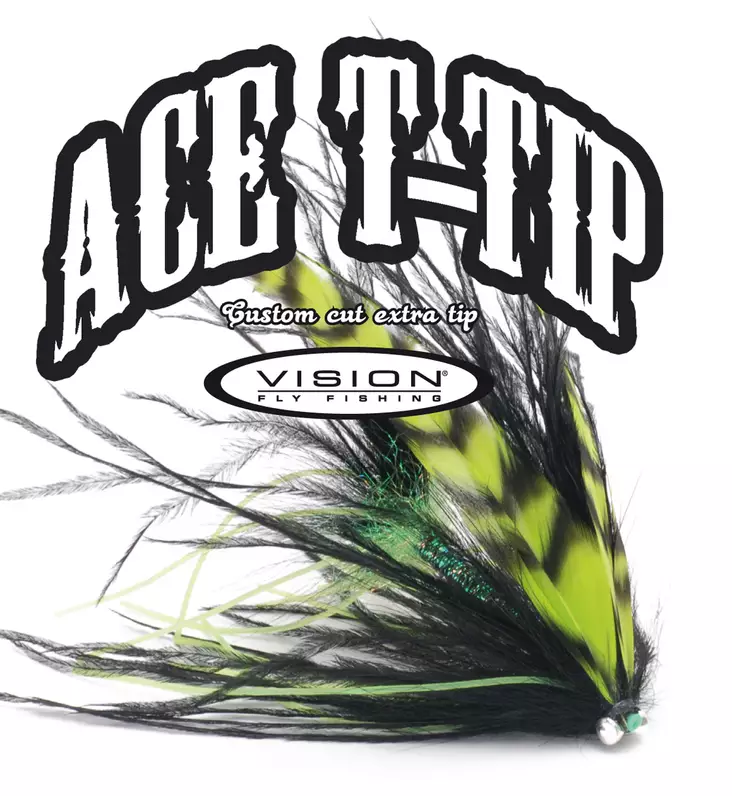 Vision Ace T-Tip 10' - Udskiftelige spidser - 6417512820448 - 1