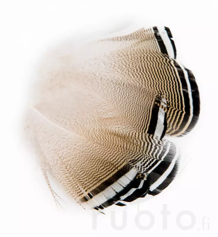 Wapsi Wood Duck Black and White Flank Feathers - Klassiske fjer - 053526035018 - 2