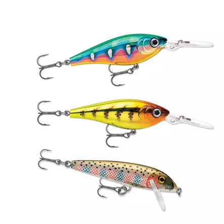 Rapala Essentials Trout Sunny 2.0 - Agnsortimenter - 022677384139 - 2