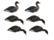 Final Approach Fullbody Flocked Greylag 6pcs - Lokkende billeder / -diagram - 728614298629 - 1