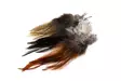Hareline Gallo De Leon Saddle Feathers - Øvrige fjer - 40450200599 - 1