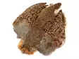 Hareline Grade 1 Hungarian Partridge Skin - Skind, vinger og hoved - 762820008689 - 1