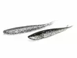 Lunker City Fin-S-Fish 17,5cm - Vertikale jigs - 340030999 - 3